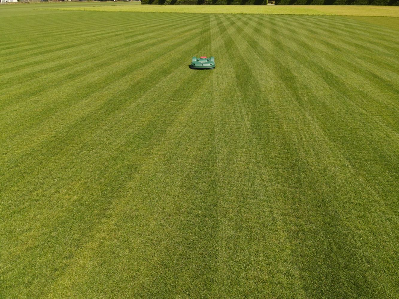 Belrobotics robot met zichtbare maaibanen op een graszodenperceel
