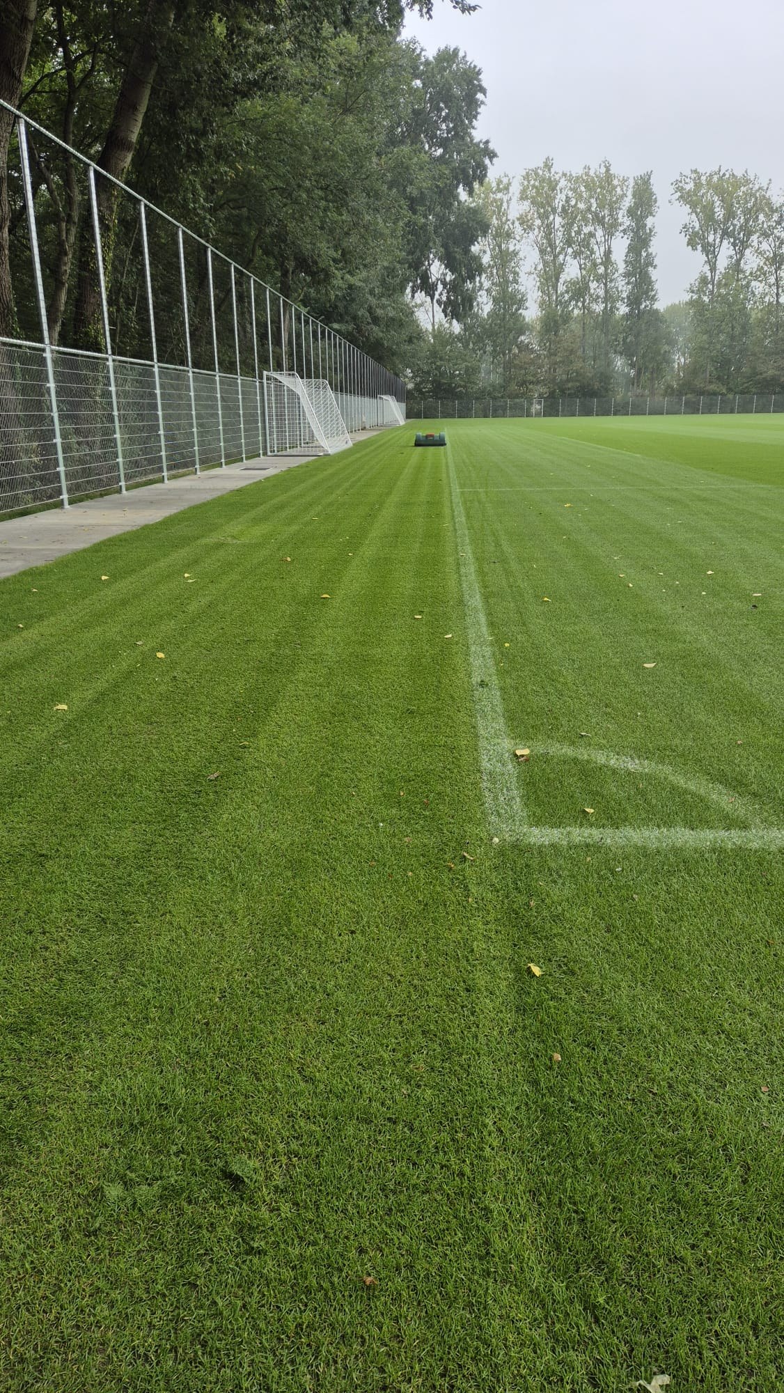 Maaibeeld op het trainingsveld van Excelsior met Bigmow op de achtergrond